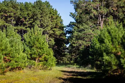 00 Farm To Market Road 23, Rusk, TX 75785 - Photo 23