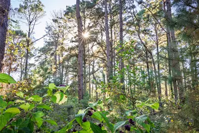 00 Farm To Market Road 23, Rusk, TX 75785 - Photo 19