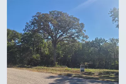 521 Bronco Trail, Oak Point, TX 75068 - Photo 1