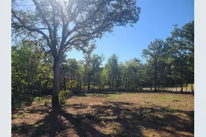 521 Bronco Trail, Oak Point, TX 75068 - Photo 9