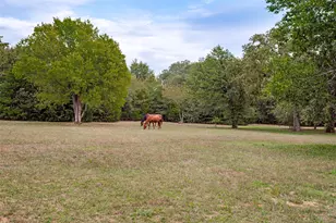 11349 S Fm 372, Valley View, TX 76272 - Photo 9