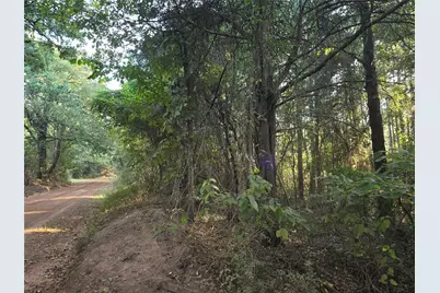 Tbd Cr 2864, Hughes Springs, TX 75656 - Photo 1