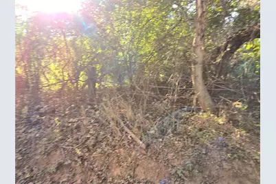 Tbd Cr 2864, Hughes Springs, TX 75656 - Photo 11