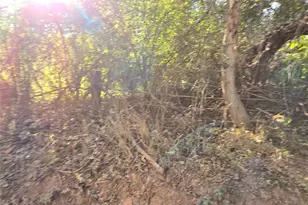 Tbd Cr 2864, Hughes Springs, TX 75656 - Photo 11