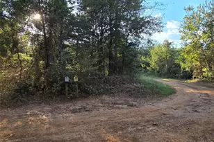 Tbd Cr 2864, Hughes Springs, TX 75656 - Photo 9