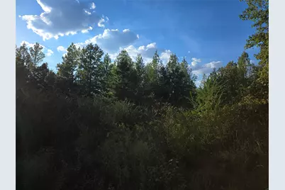 Tbd Cr 2864, Hughes Springs, TX 75656 - Photo 5