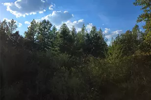 Tbd Cr 2864, Hughes Springs, TX 75656 - Photo 5