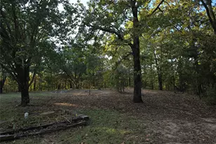 Tbd Cr 2864, Hughes Springs, TX 75656 - Photo 19