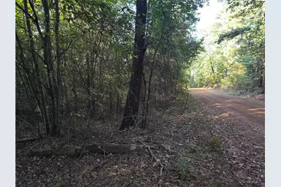 Tbd Cr 2864, Hughes Springs, TX 75656 - Photo 3