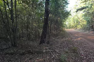 Tbd Cr 2864, Hughes Springs, TX 75656 - Photo 3