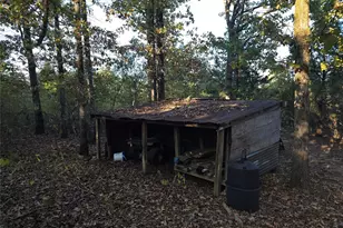 Tbd Cr 2864, Hughes Springs, TX 75656 - Photo 17