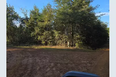 Tbd Cr 2864, Hughes Springs, TX 75656 - Photo 7