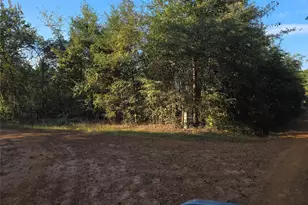 Tbd Cr 2864, Hughes Springs, TX 75656 - Photo 7