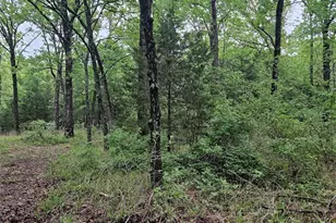 01 Private 5401 Rd, Malakoff, TX 75148 - Photo 5