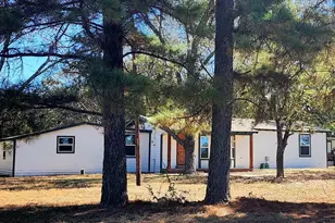 3434 N Fm 17 N, Alba, TX 75410 - Photo 1