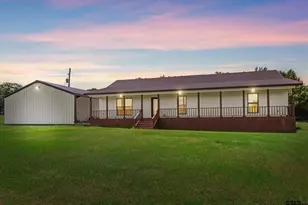 3189 US Hwy 80, Mineola, TX 75773 - Photo 1