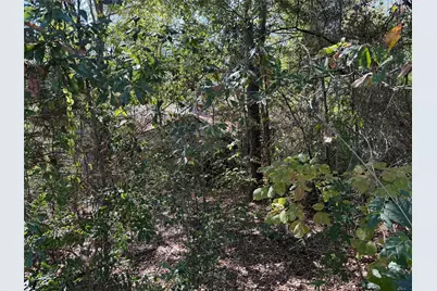 Tbd E US Highway 80, Hawkins, TX 75765 - Photo 7