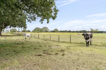 190 Private Road 7786, Wills Point, TX 75169 - Photo 35