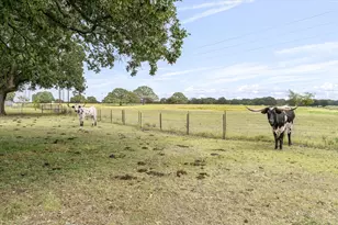 190 Private Rd 7786, Wills Point, TX 75169 - Photo 35