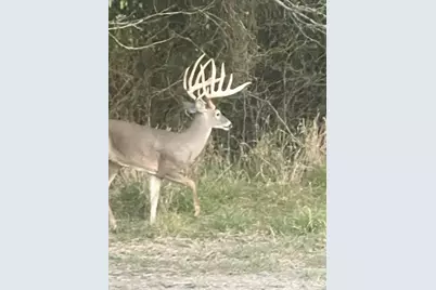 7304 Shady Lane, Scurry, TX 75158 - Photo 5