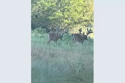 7304 Shady Lane, Scurry, TX 75158 - Photo 7