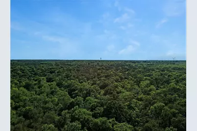 7304 Shady Lane, Scurry, TX 75158 - Photo 7