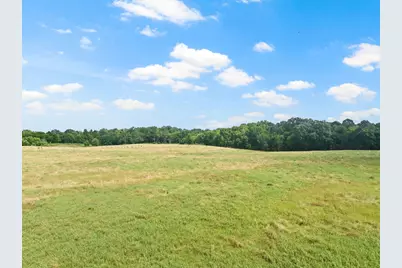 Tbd Cr 2920, Pittsburg, TX 75686 - Photo 9