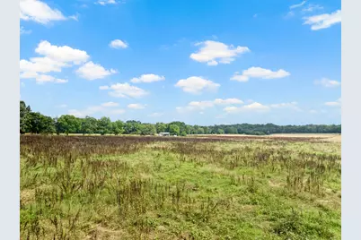 Tbd Cr 2920, Pittsburg, TX 75686 - Photo 5