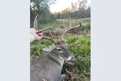 3222 Fm 1254, Mineola, TX 75773 - Photo 19