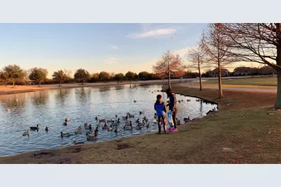 907 Ozark Drive, Allen, TX 75002 - Photo 37