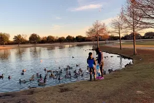 907 Ozark Dr, Allen, TX 75002 - Photo 37