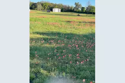 3951 Brushy Road, Granbury, TX 76048 - Photo 3