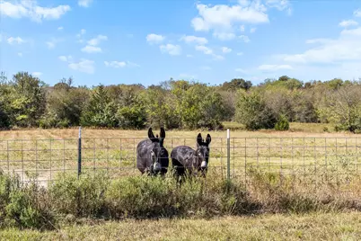 5512 County Road 1042, Celeste, TX 75423 - Photo 15