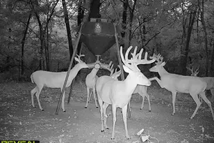 186 Martin Ln, Sadler, TX 76264 - Photo 39