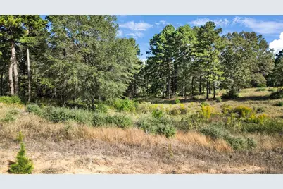 Tbd Pr 3398 Road, Big Sandy, TX 75755 - Photo 9