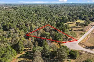 Tbd Pr 3398 Rd, Big Sandy, TX 75755 - Photo 1