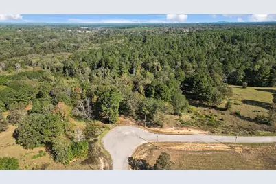 Tbd Pr 3398 Road, Big Sandy, TX 75755 - Photo 13