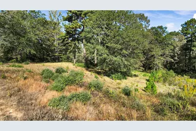 Tbd Pr 3398 Road, Big Sandy, TX 75755 - Photo 7