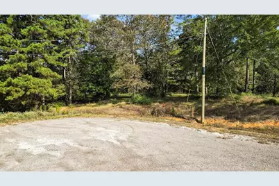 Tbd Private Road, Big Sandy, TX 75755 - Photo 3