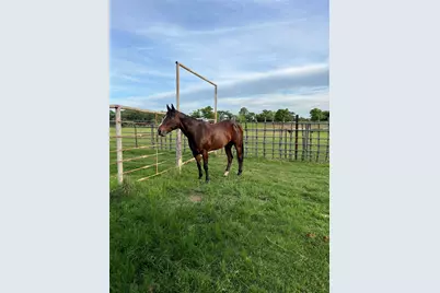 2025 Highway 112, Eastland, TX 76448 - Photo 29