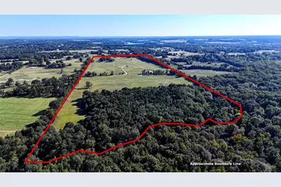 10769 County Road 3519, Murchison, TX 75778 - Photo 3