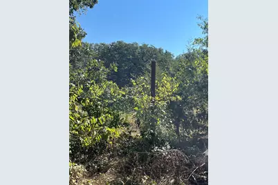 00 Pinewood Drive, Hawk Cove, TX 75474 - Photo 5