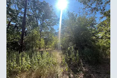 00 Pinewood Drive, Hawk Cove, TX 75474 - Photo 7