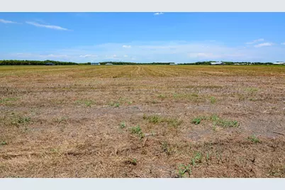 9133 County Road 101A, Grandview, TX 76050 - Photo 7