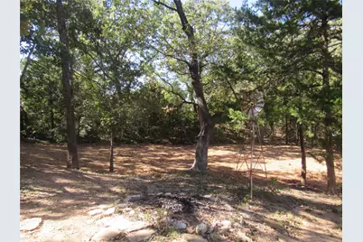 40 Cleveland Avenue, Pottsboro, TX 75076 - Photo 5