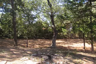 40 Cleveland Ave, Pottsboro, TX 75076 - Photo 5