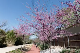 4044 Buena Vista, Dallas, TX 75204 - Photo 3