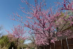 4044 Buena Vista, Dallas, TX 75204 - Photo 9