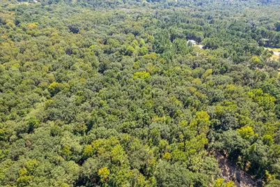 1000 W Main Street, Chandler, TX 75758 - Photo 29