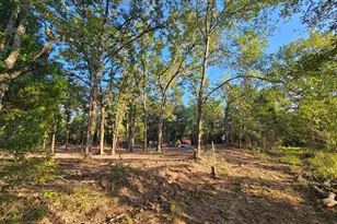 0 S Pennsylvania St, Malakoff, TX 75148 - Photo 3